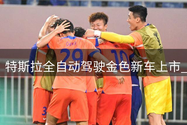 特斯拉全自动驾驶金色新车上市 售价约20万引关注
